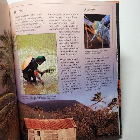 The Usborne Internet-Linked Book Encyclopedia of Planet Earth Science Homeschool - Picture 9 of 14